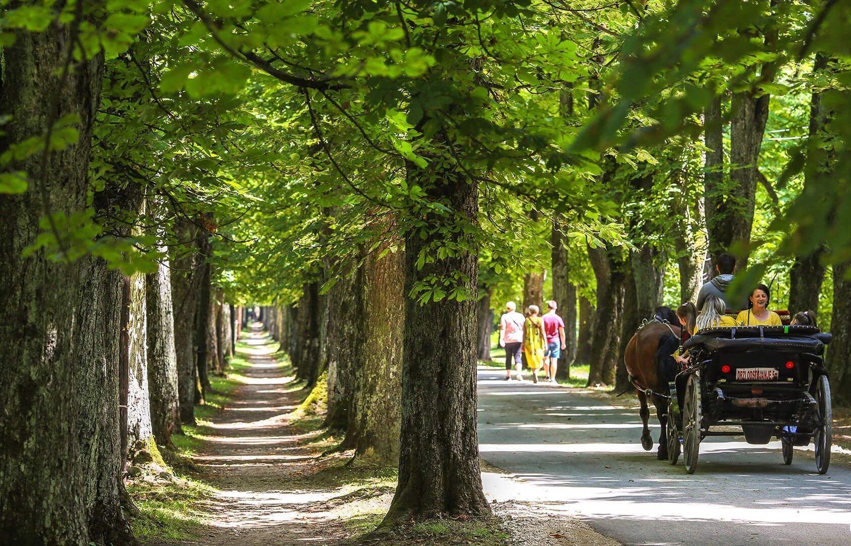 منطقة إليجا في سراييفو البوسنة - افضل مطاعم منطقة إليجا البوسنه - أفضل فنادق منطقة إيليجا - دليلك السياحي عن منطقة اليجا سراييفو البوسنة