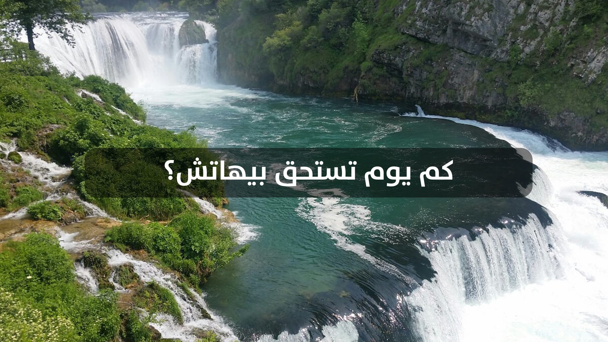 كم يوم تستحق بيهاتش؟