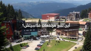 أين تقع مرتفعات فلاسيتش؟
